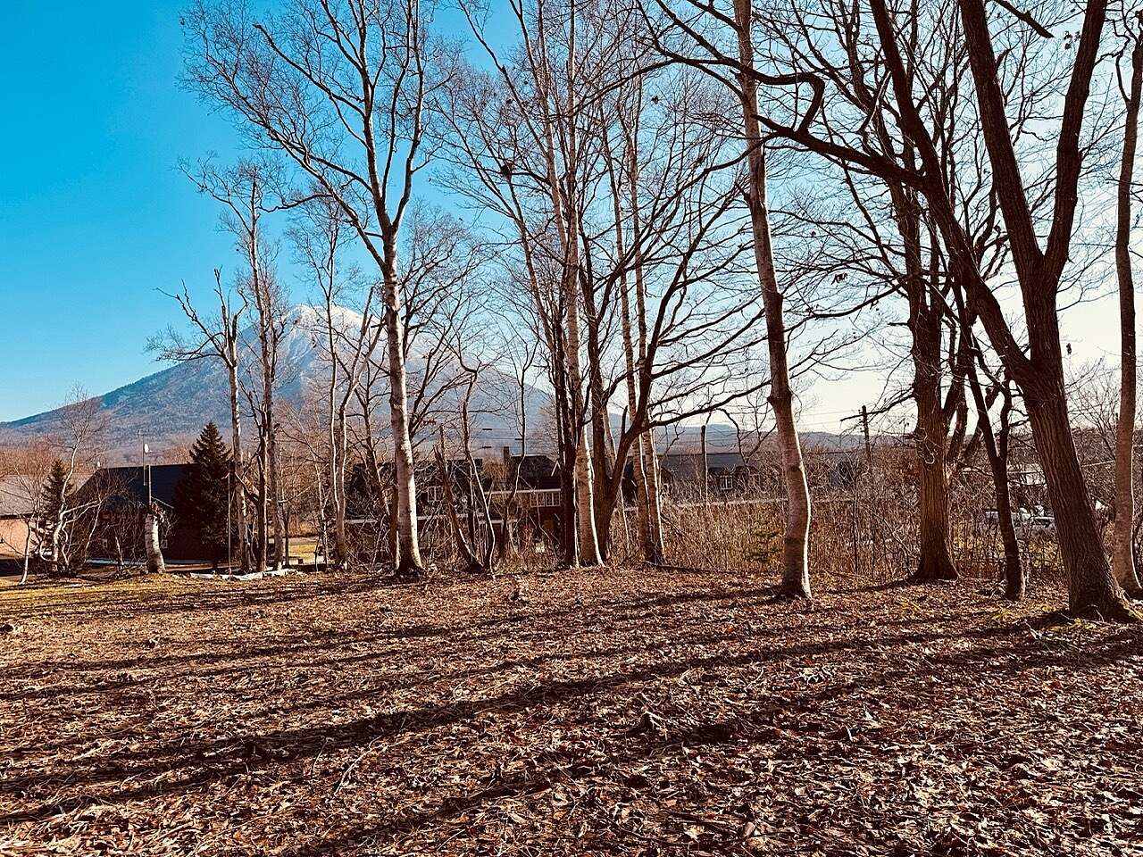 Izumikyo 2 Autumn afternoon Large