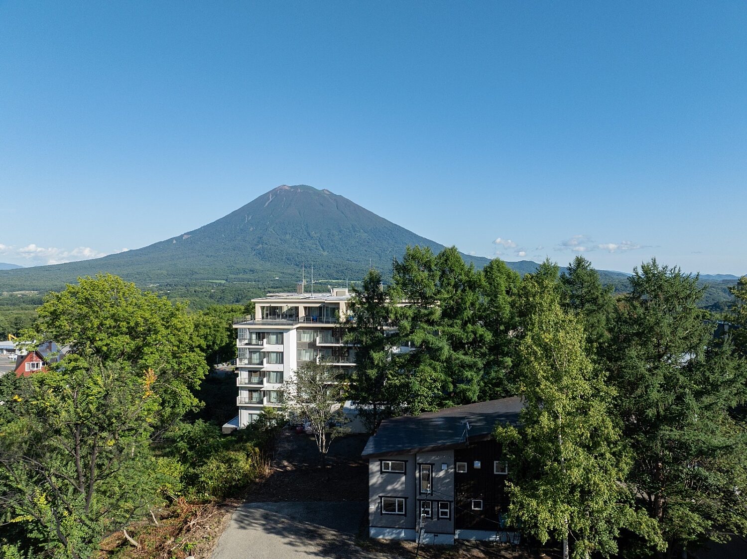 Yotei at 18m