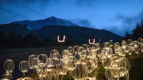 Mountain lights hanazono