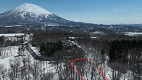 Ginto Plot 18 c highlighted