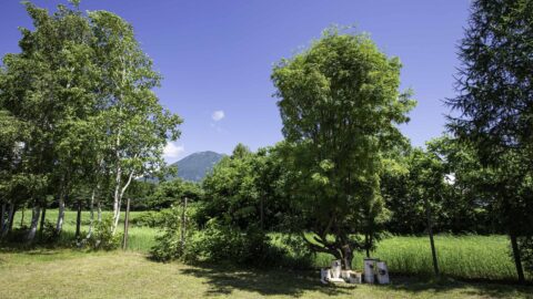 Kabayama Cottages 01